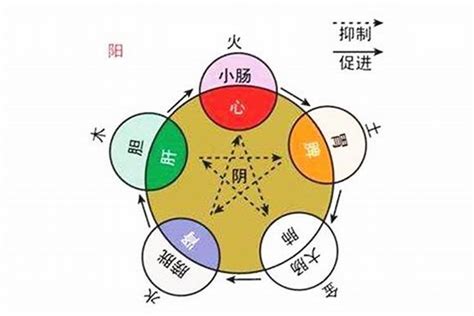 雅字五行|雅字的五行属性